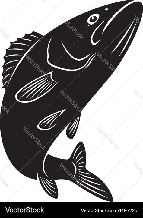 Bass fish Royalty Free Vector Image - VectorStock