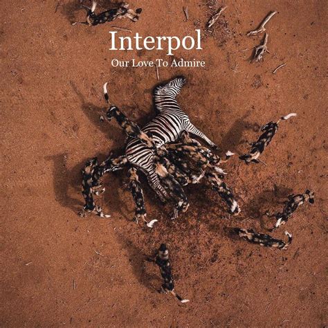 Interpol - Our Love To Admire : r/fakealbumcovers