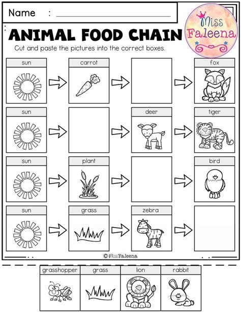 20++ Free Printable Kindergarten Science Worksheets – Worksheets Decoomo