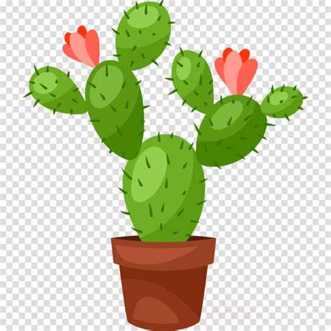 Download High Quality cactus clip art prickly pear Transparent PNG Images - Art Prim clip arts 2019