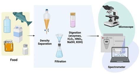 Microplastics detection stages. Created with BioRender.com. | Download ...