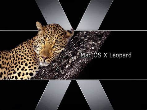 Free Download Apple Mac OS X Leopard 10.5 Software or Application Full Version For (Windows ...