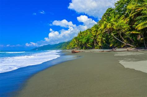 Corcovado National Park & Puerto Jimenez Travel Guide - Costa Rica