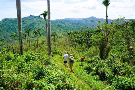 Alejandro de Humboldt National Park | Baracoa, Cuba | Beyond | National parks, Humboldt park ...