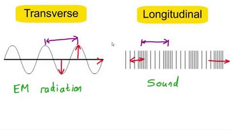 Transverse vs longitudinal waves - YouTube