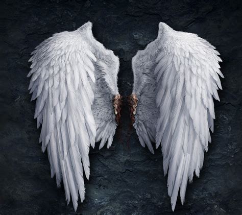 Realistic Angel Wings Related Keywords & Suggestions - Realistic Angel Wings Long Tail Keywords