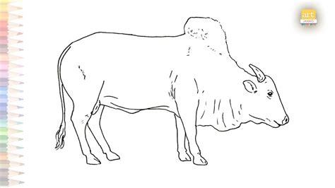 Brahman Bull Drawing