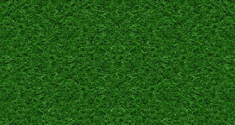 Free photo: Green Texture - Graphics, Green, Texture - Free Download - Jooinn