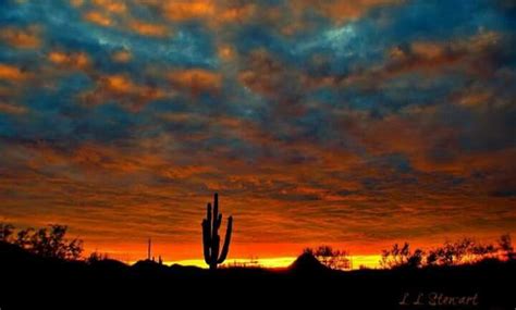 Pin by Beverly Santo on Beauty in Nature | Arizona landscape, Arizona sunrise, Desert painting