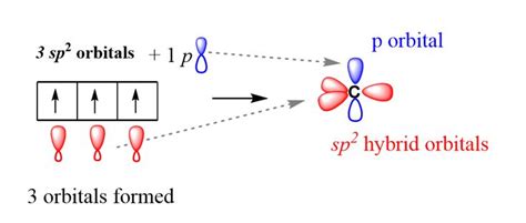 sp2 hybridization geometry | Organic chemistry, Chemistry, Teaching chemistry