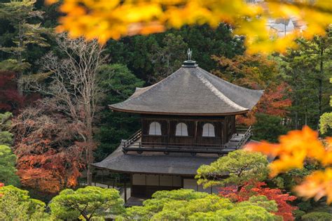 A Shinto Perspective on the Relationship Between Natural Rainforests ...