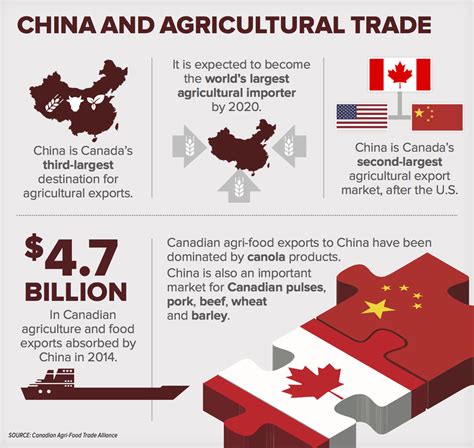 Why so much Canadian canola has gone to China - Manitoba Co-operator