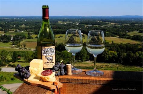 Club of Washington D.C: Hoyas Fall Winery Trip - Georgetown Alumni