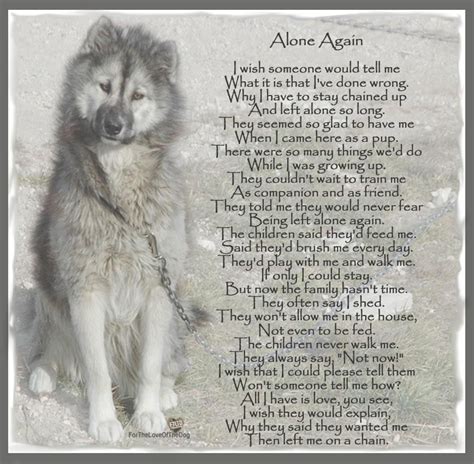 Canine Advocacy | Dog poems, Dogs, Dog quotes