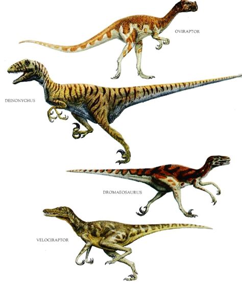 Different Types Of Dinosaurs Names - Viewing Gallery