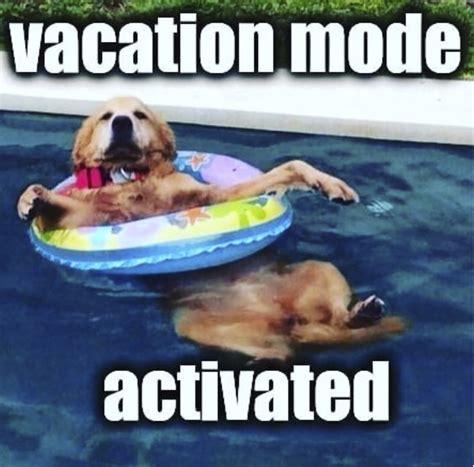 These Memes About Summer Vacations Will Make You Want To Pack Summer | My XXX Hot Girl