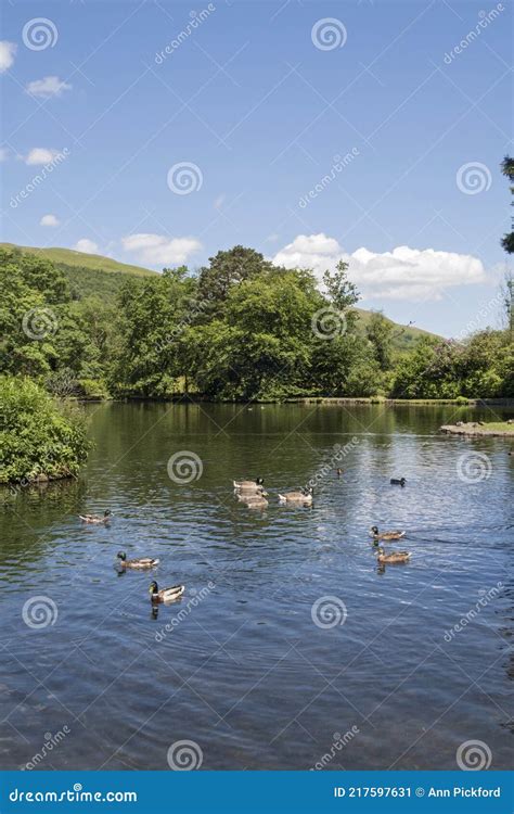 The Fishpond, Craig-y-Nos Country Park, Pen-y-cae, Brecon Beacons ...