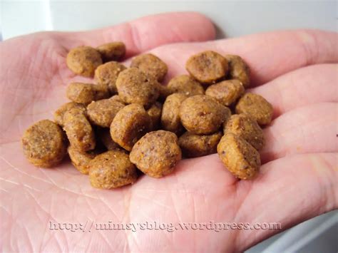 Hill’s® Science Diet® Ideal Balance™ Grain Free Dog Food | Mimsy's Blog