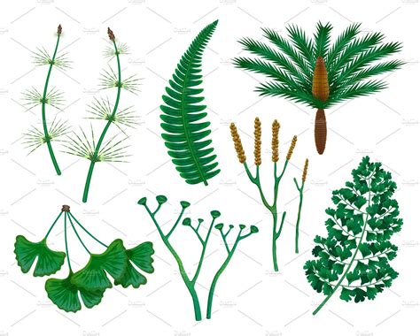 Prehistoric plants set – MasterBundles