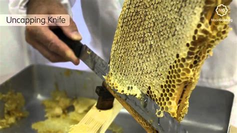 Beekeeping - Equipment - YouTube