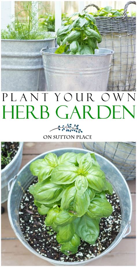 Container Herb Garden Ideas: Grow Your Own! - On Sutton Place