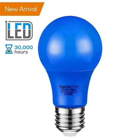 TORCHSTAR Blue LED A19 Light Bulbs for Outdoor Light Fixture Bulb ...