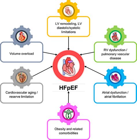 SciELO - Brasil - Heart failure with preserved ejection fraction: an update on pathophysiology ...