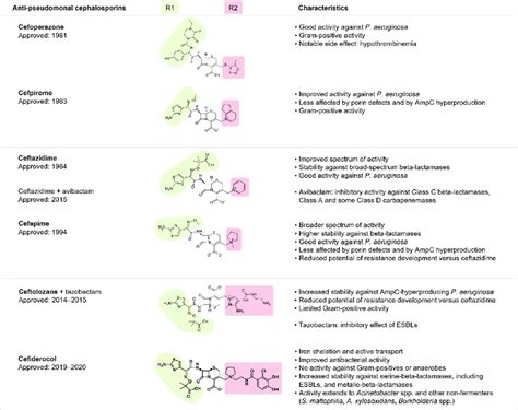 Antipseudomonal cephalosporins and their characteristics. ESBL,... | Download Scientific Diagram