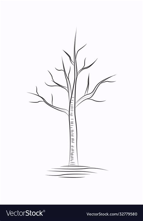 Tree line art black and white sketches drawing Vector Image