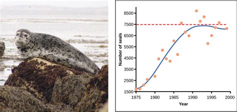 Environmental Limits to Population Growth | Biology for Majors II