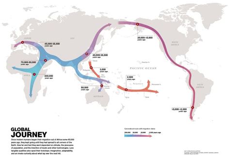 Global Human Journey [1980x1356] | Human migration, Ancient humans, Map