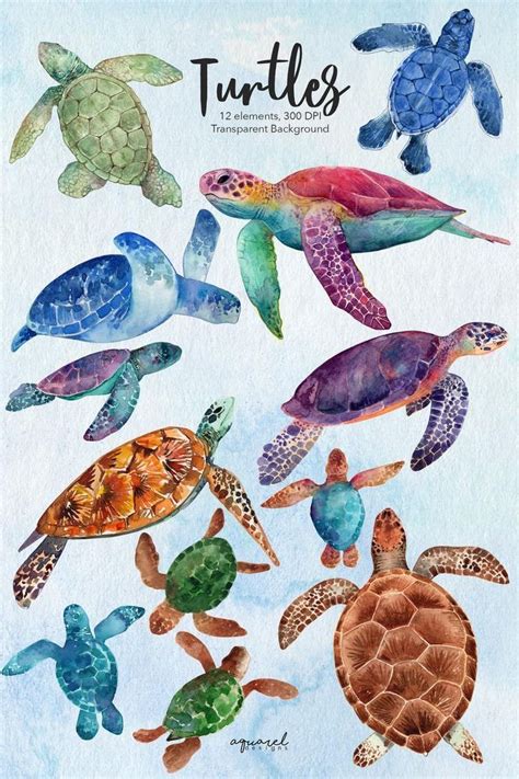 Pin by Mr.D Jr. ( ART ) on Water Color in 2020 | Sea turtle drawing ...