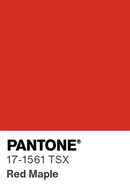 PANTONE® USA | PANTONE® 17-1561 TSX - Find a Pantone Color | Quick Online Color Tool