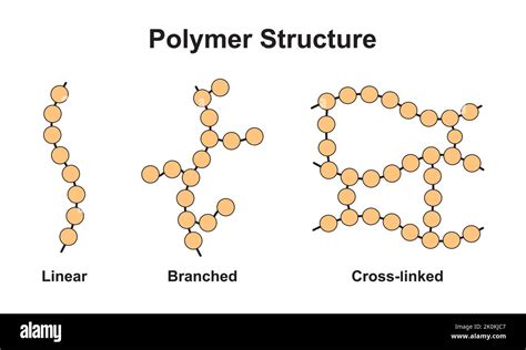 Polymers Structure