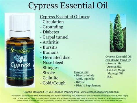 Cypress Oil | Cypress essential oil, Living essentials oils, Essential ...