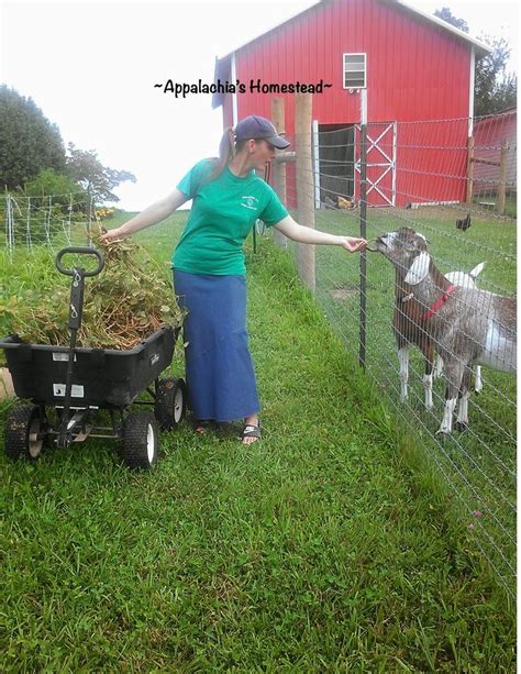 Appalachia's Homestead: Welcome to Our New Blog! | Homesteading, Appalachia, Country living