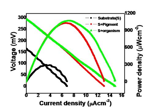 How do I interpret the polarization curve of a microbial fuel cell?