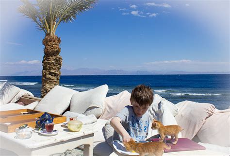 The Friday Photo: On the Roof in Dahab, Egypt