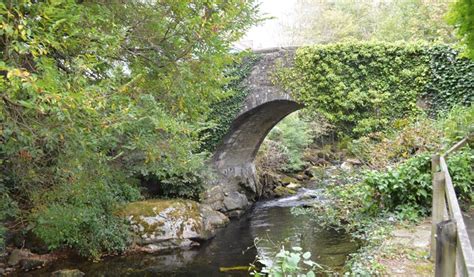 Ivybridge - Visit South Devon