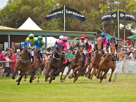 In the dark today | Horse Racing Australia