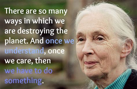 These Riveting Jane Goodall Quotes Will Inspire You To Fight For Nature ...