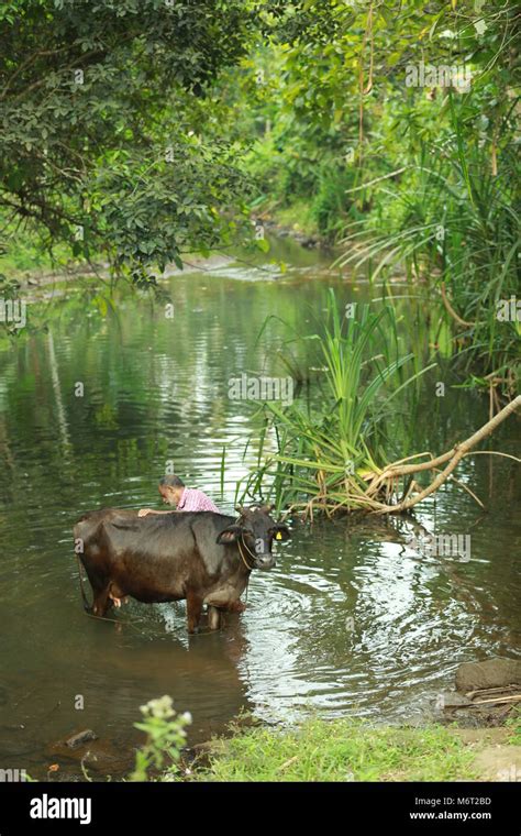 Kerala Wildlife Photography