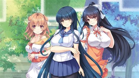 Lewd puzzle game series 'Pretty Girls' getting another 4-in-1 physical ...