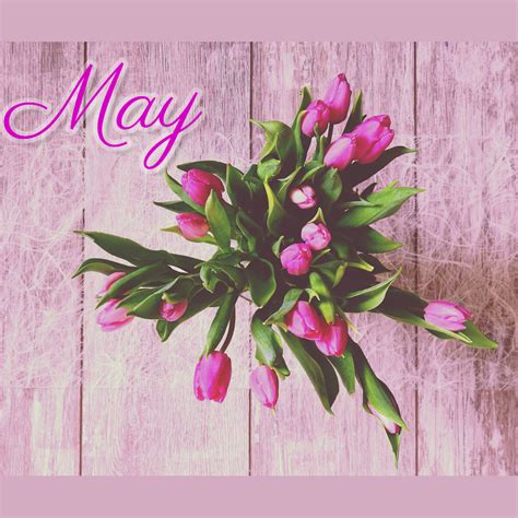 May - Flower month | Templates | Stencil