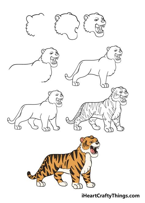 Tiger Drawing - How To Draw A Tiger Step By Step