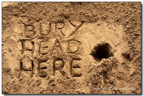 Quotes about Head in the sand (44 quotes)