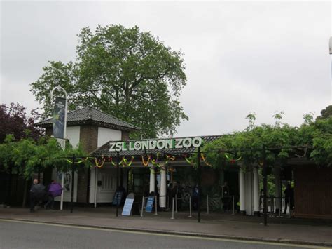 ZSL London Zoo | totally-london.net