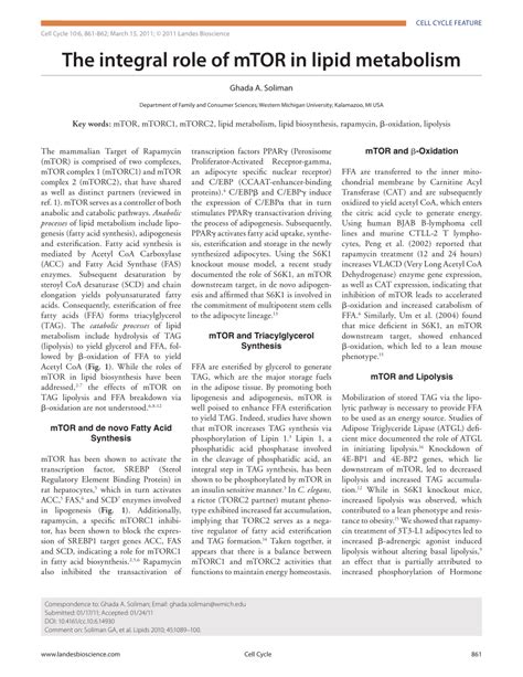 (PDF) The integral role of mTOR in lipid metabolism