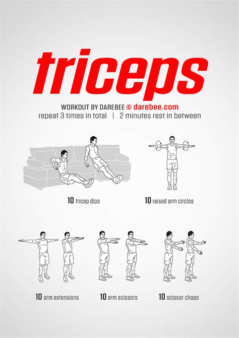 Triceps Workout | Chest and tricep workout, Triceps workout, Biceps workout