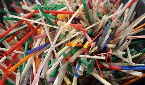 Why Plastic Straws Are a Problem and What You Can Do - Green That Life